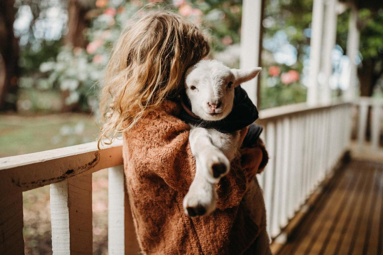 Margaret River Holiday Cottages Esterno foto