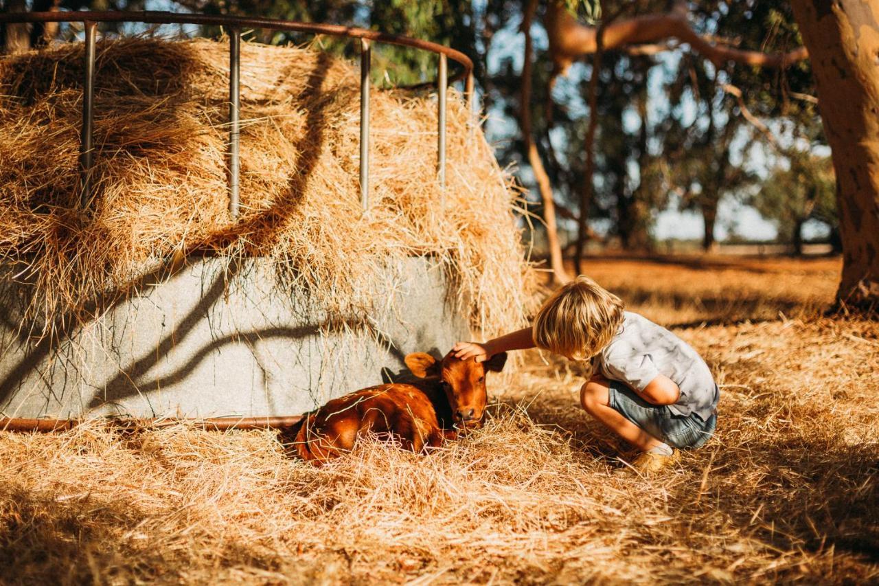 Margaret River Holiday Cottages Esterno foto