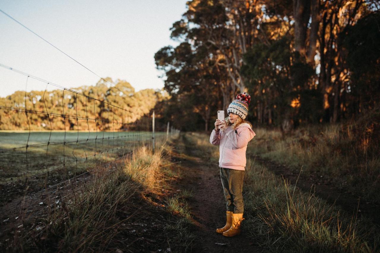 Margaret River Holiday Cottages Esterno foto