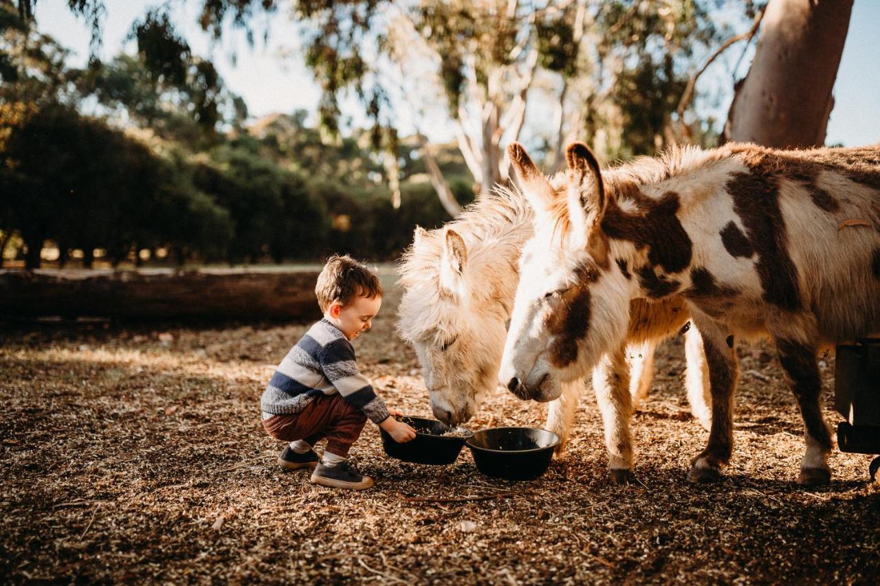 Margaret River Holiday Cottages Esterno foto