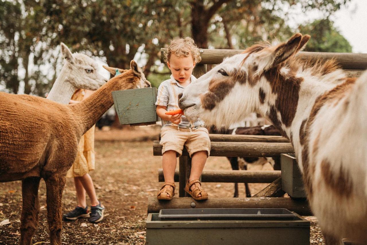 Margaret River Holiday Cottages Esterno foto