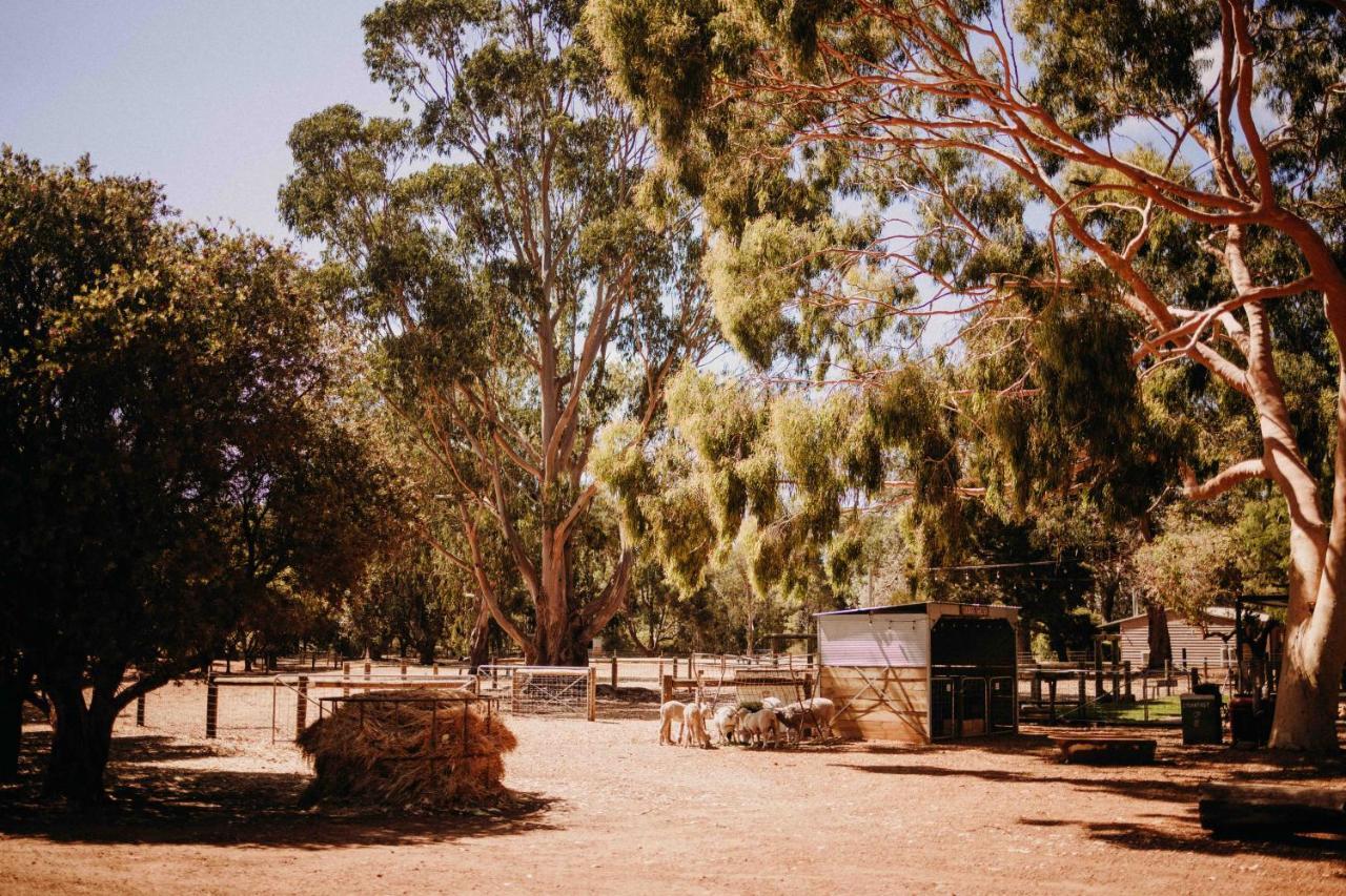 Margaret River Holiday Cottages Esterno foto