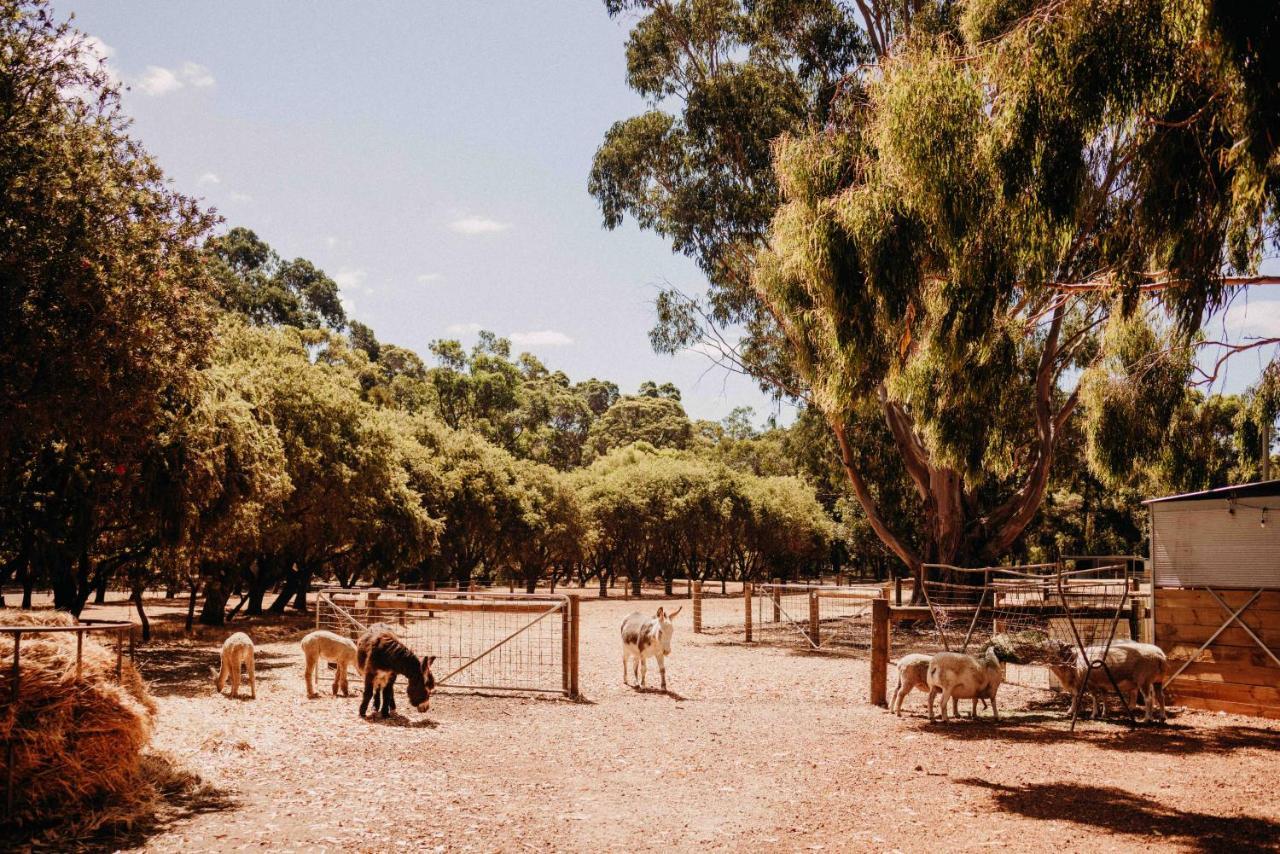 Margaret River Holiday Cottages Esterno foto