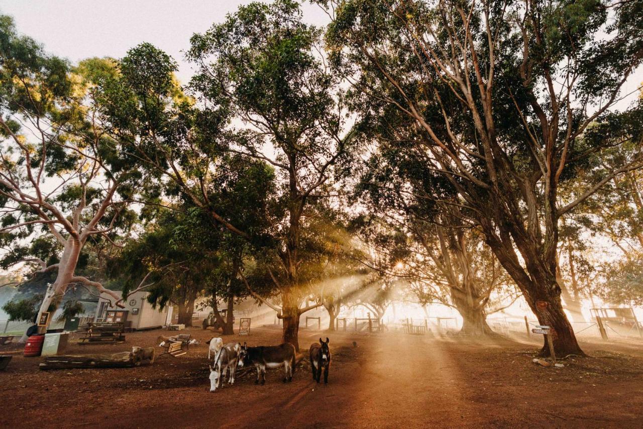 Margaret River Holiday Cottages Esterno foto