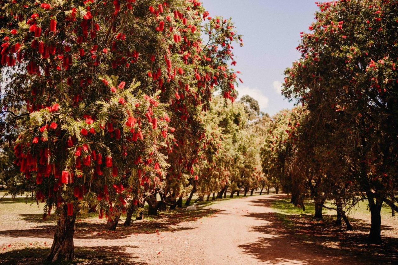 Margaret River Holiday Cottages Esterno foto