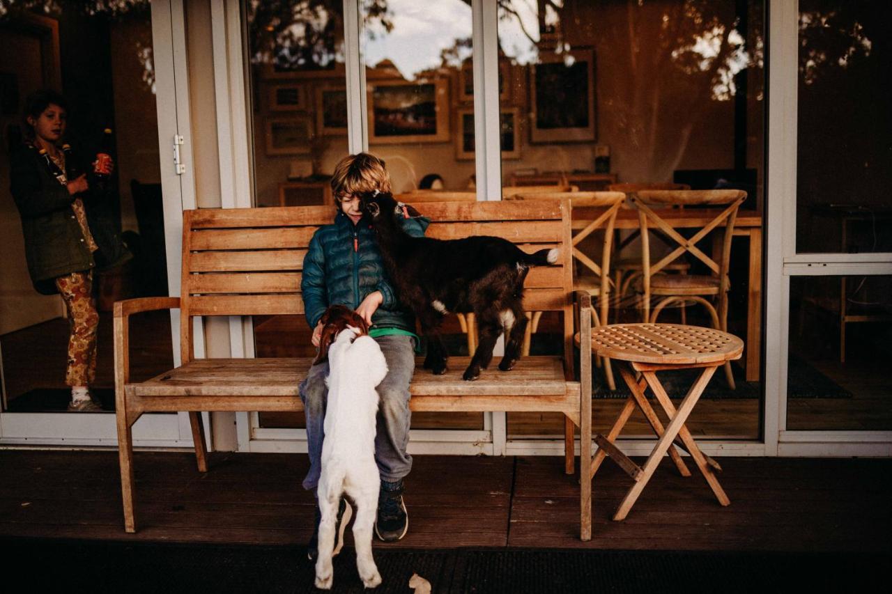 Margaret River Holiday Cottages Esterno foto
